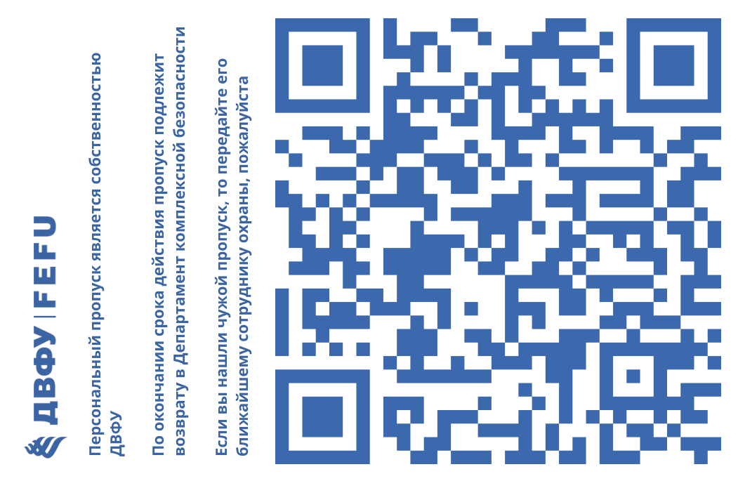 Задняя сторона